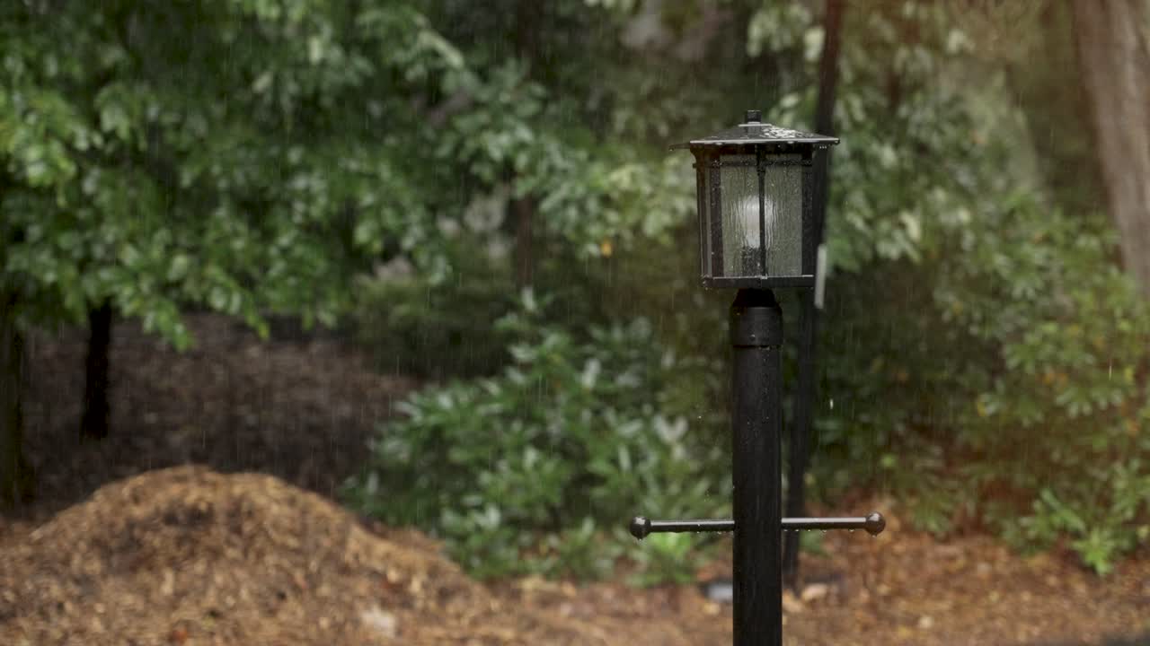 Rainy Day in the Garden