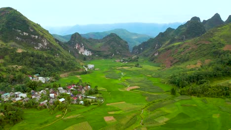 exuberantes campos de arroz verde rodean pequeñas aldeas en las montañas nubladas del norte de vietnam
