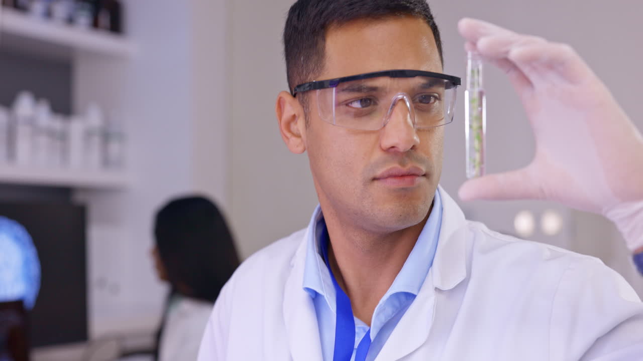 doctor, hombre y planta en tubo para la ciencia