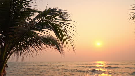 Siluetas-De-árboles-Tropicales,-Luz-Del-Sol-De-La-Hora-Dorada-Sobre-El-Horizonte-Del-Mar-Caribe,-Paisaje-Mágico-Y-Exótico-De-Vacaciones