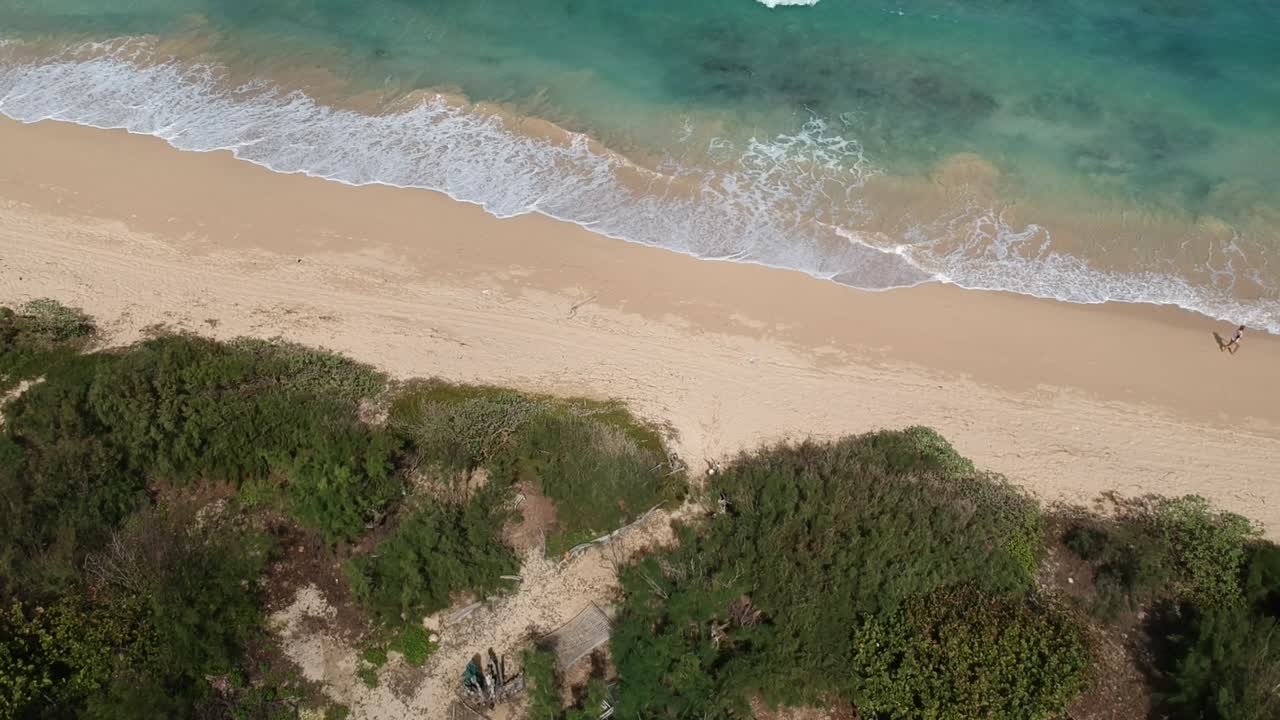 disparo de drone estable de la costa norte de oahu hawaii con cielo azul turquesa océano pacífico y palmeras y algunas nubes blancas y una persona caminando por la arena