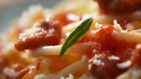espagueti bolognese en macro - plato de vapor caliente de la cocina italiana con salsa de tomate, carne molida, parmesán rallado y romero
