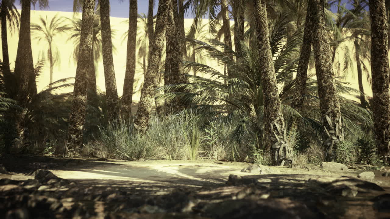 Lush tropical oasis surrounded by palm trees near a vast desert landscape