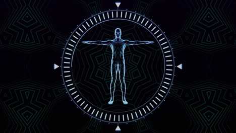 animación del cuerpo humano y el alcance con patrón de neón en fondo negro