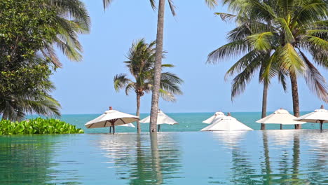 infinity pool, white beach umbellas and coconut palms in a seafront thailand resort lounge on sunny day