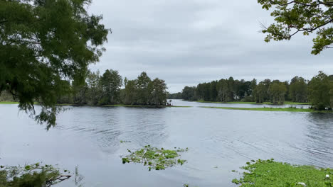 Hillsborough-River-State-Park-in-Tampa-Bay-Florida-USA-On-Cloudy-Day,-Natural-Watercourse-Green-Swamp-Surrounded-by-Trees-and-vegetation