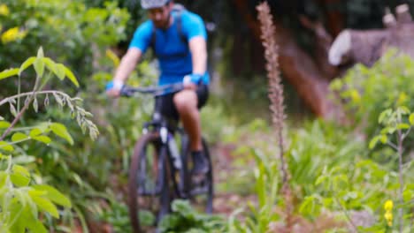 Paar-Fahrrad-Fahren