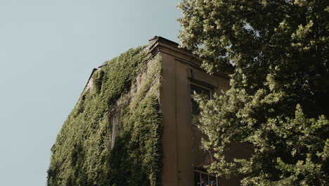 La-Pared-De-Un-Edificio-Antiguo-Con-Enredaderas-En-Las-Paredes-Y-Un-árbol-Al-Lado