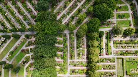 aerial top down of peaceful graveyard cemetery during sunny day with green grass. rising shot. freedom for death people and human on earth