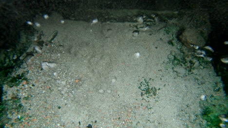 bubbles rise from floor of underwater hot springs in bande, spain, 50fps