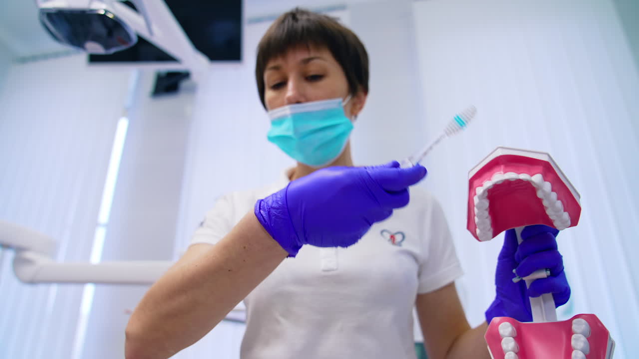 Oral hygiene on a teeth model. Dentist showing on jaw model how to clean teeth with brush for teeth. Orthodontic treatment concept. Teaching dental care.