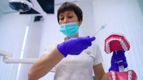 oral hygiene on a teeth model. dentist showing on jaw model how to clean teeth with brush for teeth. orthodontic treatment concept. teaching dental care.