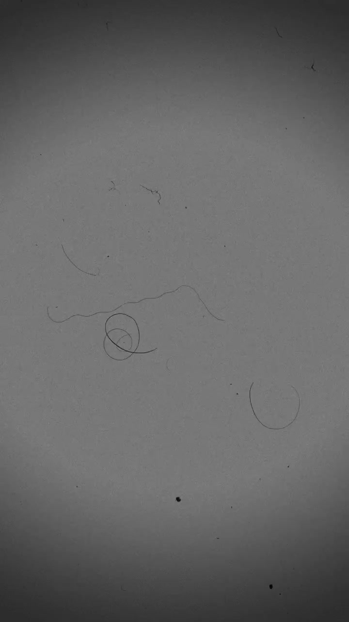 Sovrapposizione monocromatica con grana della pellicola, polvere e graffi