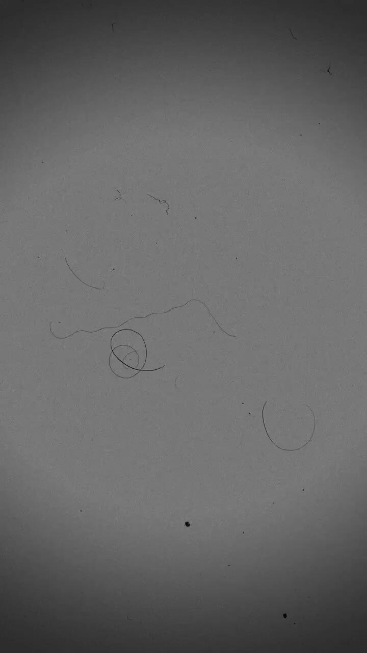 Sovrapposizione monocromatica con grana della pellicola, polvere e graffi
