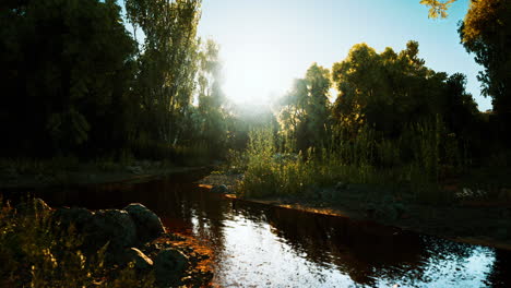 tranquil sunset over a river in a forest