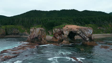 arco costero con aves marinas