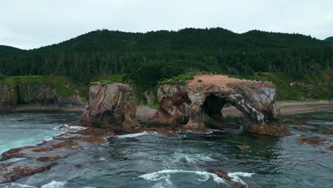 coastal arch with seabirds