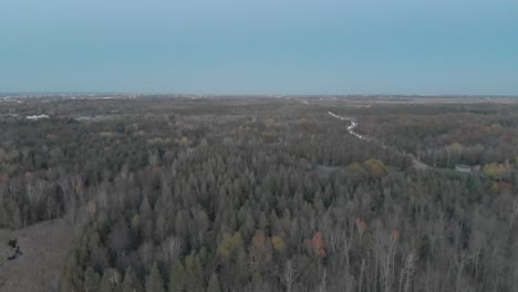 Flying-over-a-dim-forest-in-the-late-fall-near-ottawa,-ontario-with-cars-on-the-highway-and-a-blue-city-skyline-in-the-distance