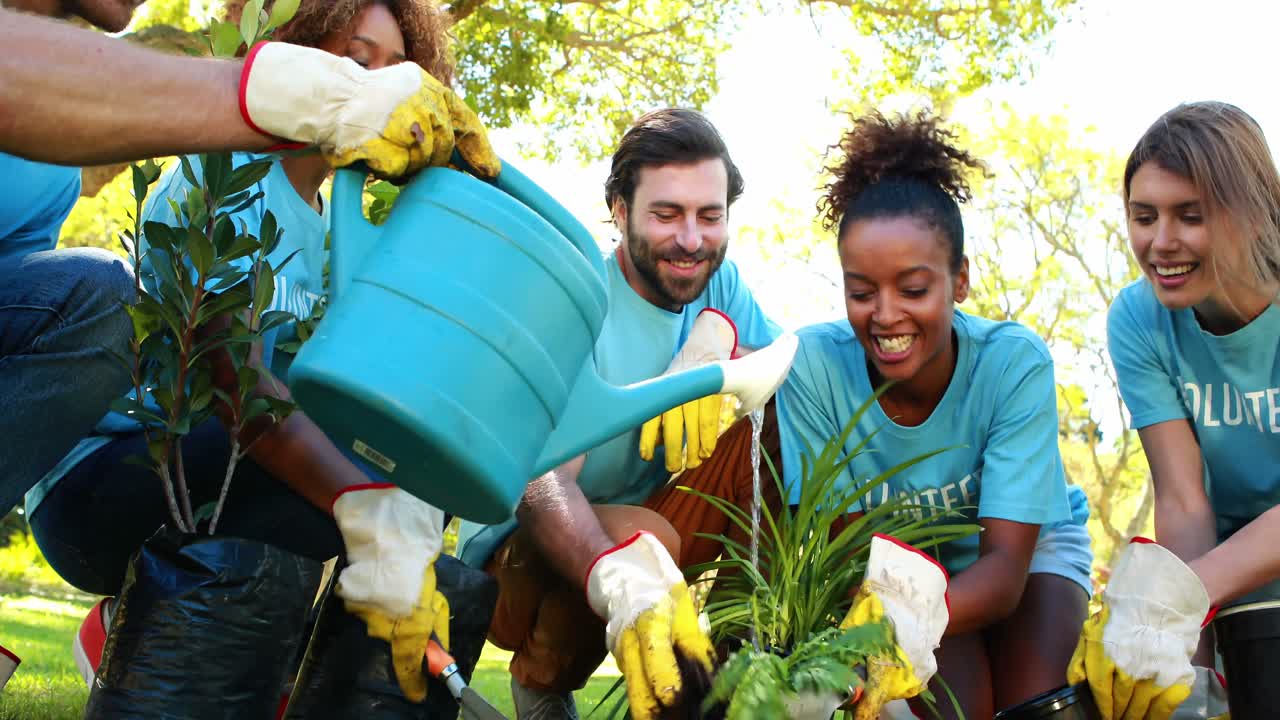 grupo de plantadores voluntarios en el parque