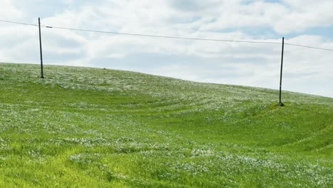 Vom-Wind-Verwehtes-Gras-Tanzt-Auf-Einer-Von-Strommasten-Eingerahmten-Wiese