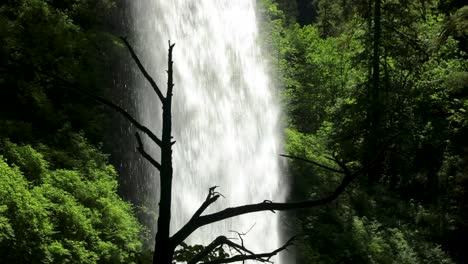 Stromschnellen-Von-Felsigen-Klippen-Im-Silver-Falls-State-Park-In-Oregon,-USA