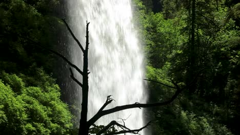 rapids from rocky cliffs at silver falls state park in oregon, usa