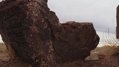 giant wood log at petrified forest national park in arizona, panning shot