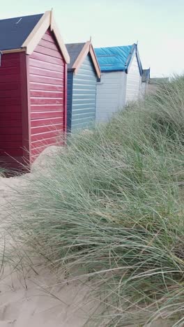 row of beach huts at english seaside behind sand dune grasses vertical shot