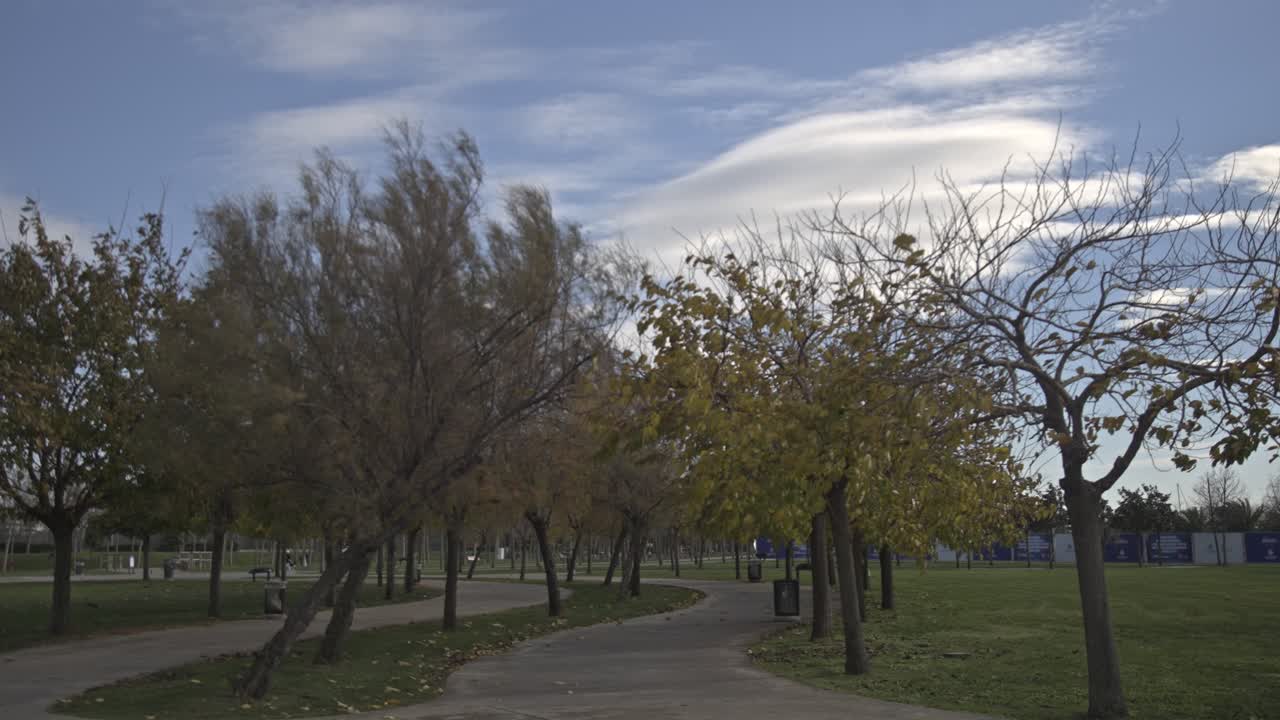parque marítimo lleno de árboles en maltepe, estambul
