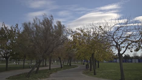 seaside park full of trees in maltepe, istanbul