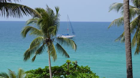 A-beautiful-shot-of-a-palm-tree-and-a-charming-sailing-boat-in-the-background,-overlooking-the-sea-of-Thailand-in-Southeast-Asia-on-a-clear-blue-day