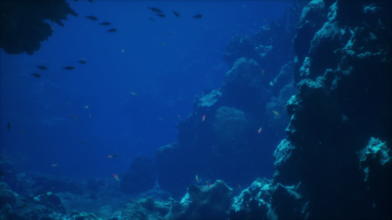 A Close-Up View of a Coral Reef with Fish Swimming Around