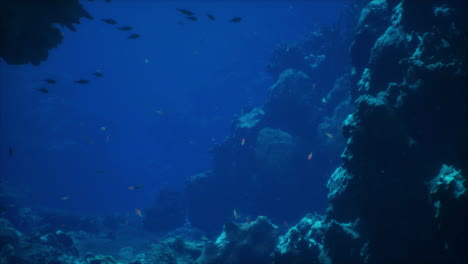 a close-up view of a coral reef with fish swimming around