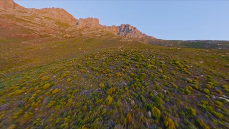 toma aérea larga de bosques vírgenes, colinas y montañas escarpadas contra un cielo azul al atardecer