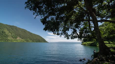 serene lake landscape with forested mountains and overhanging tree