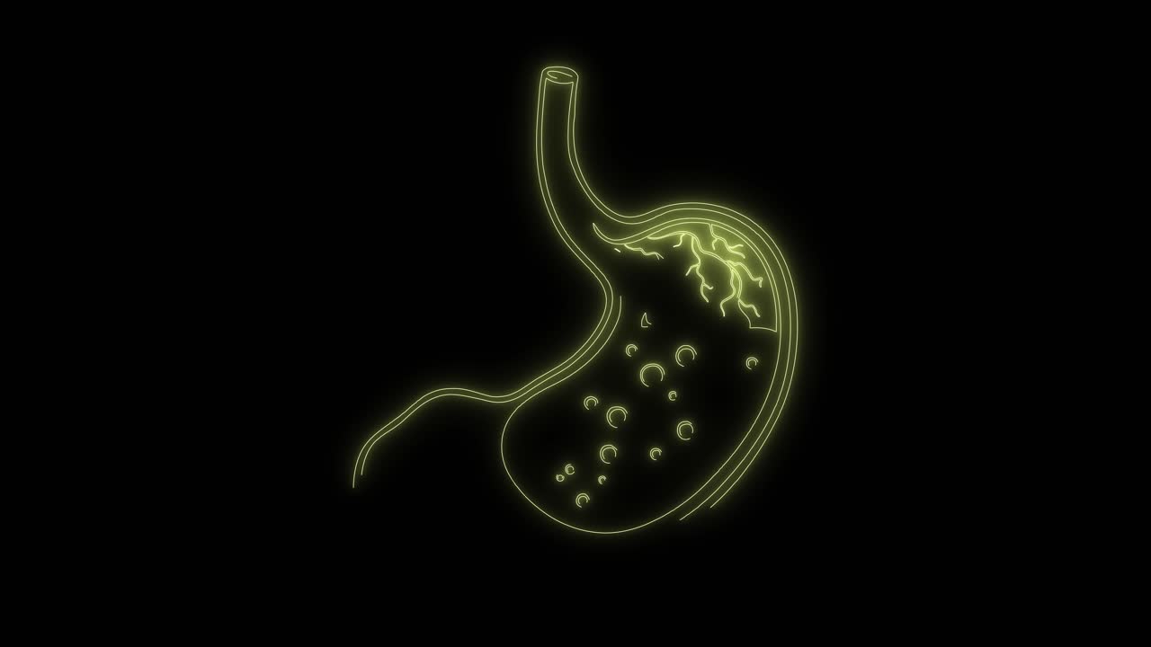 Animated Neon Outline of Human Stomach Digestion