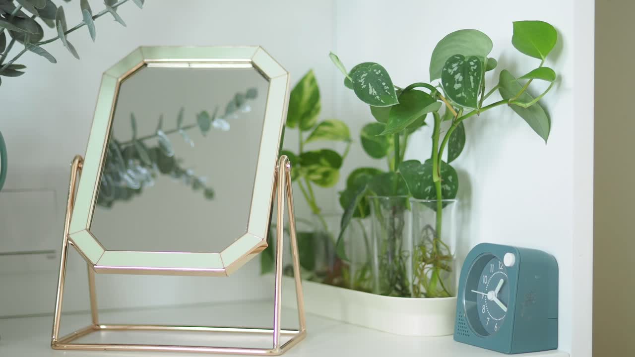 Home decor with mirror, plants, and clock