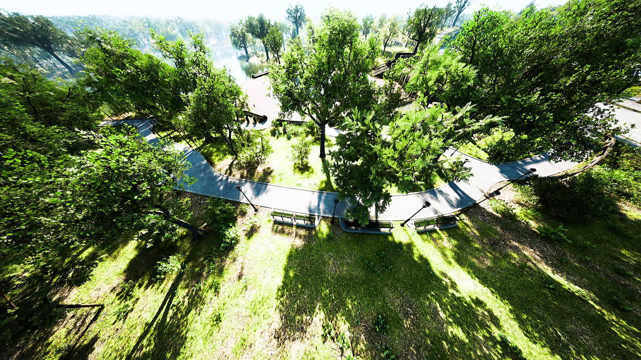 Winding pathway through lush greenery in a serene wooded area at midday