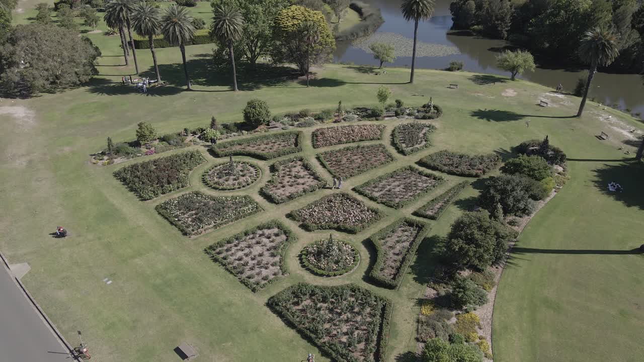 casal se encontrando no jardim de rosas em um dia ensolarado - centennial park, sydney - aérea