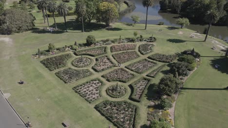 Pareja-Reunida-En-El-Jardín-De-Rosas-En-Un-Día-Soleado---Parque-Centenario,-Sydney---Antena