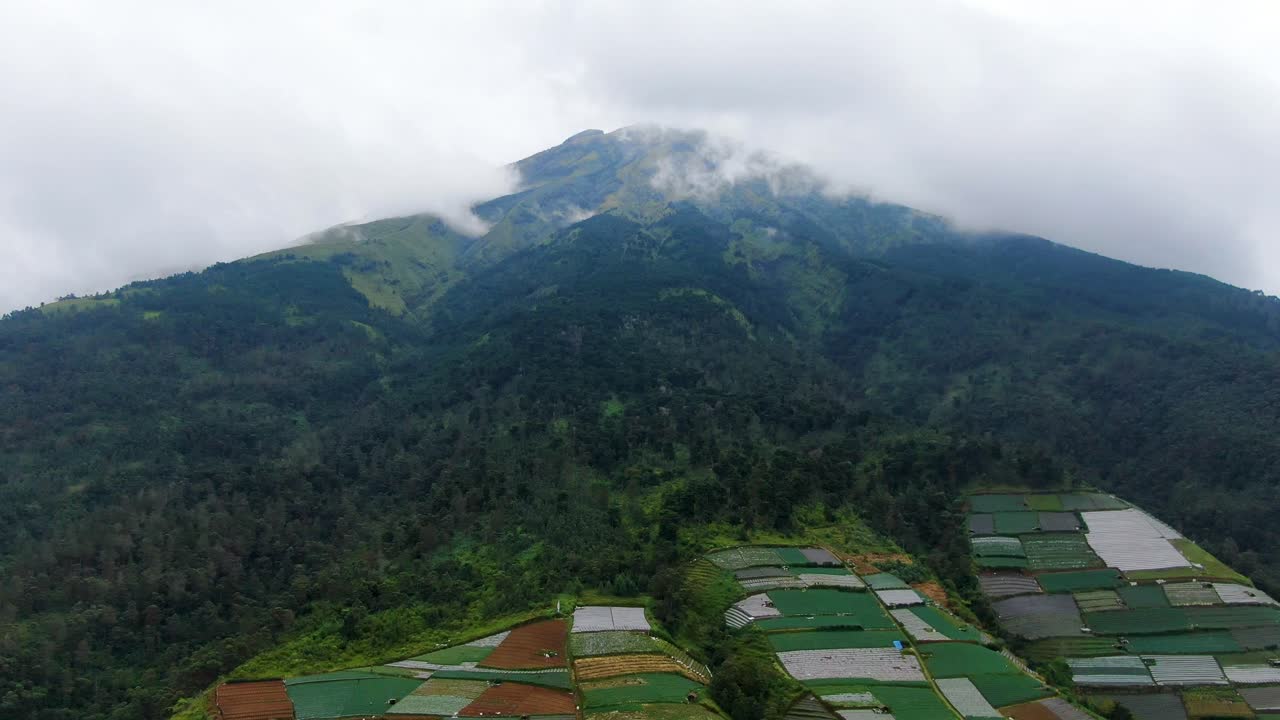 monte sumbing pico en nubes y campos en terrazas en indonesia vista aérea