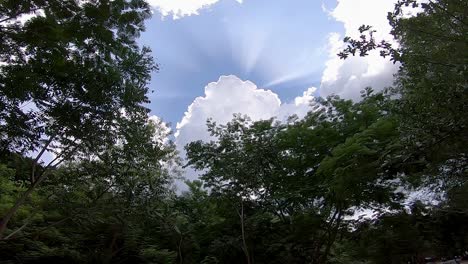 Sunbeams-Coming-Out-of-a-Fluffy-Cloud-Over-Trees
