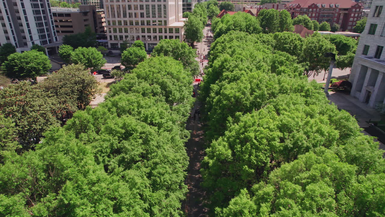 Tampak atas kanopi pohon hijau cerah di atas Peachtree Street selama acara urbanisme Streets Alive di Atlanta, dengan pengendara sepeda dan pejalan kaki menikmati hari musim panas yang cerah di kota Georgia
