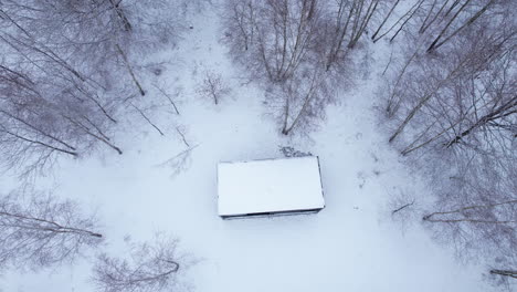 single residential container located in the middle of the forest between the trees - roof covered with snow