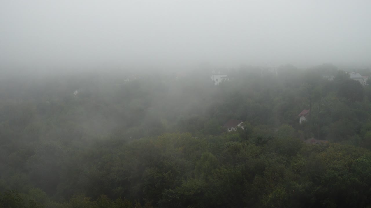 carretera húmeda en el parque de otoño durante la lluvia. vista desde la ventana.