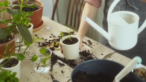 Crop-female-gardener-watering-plants