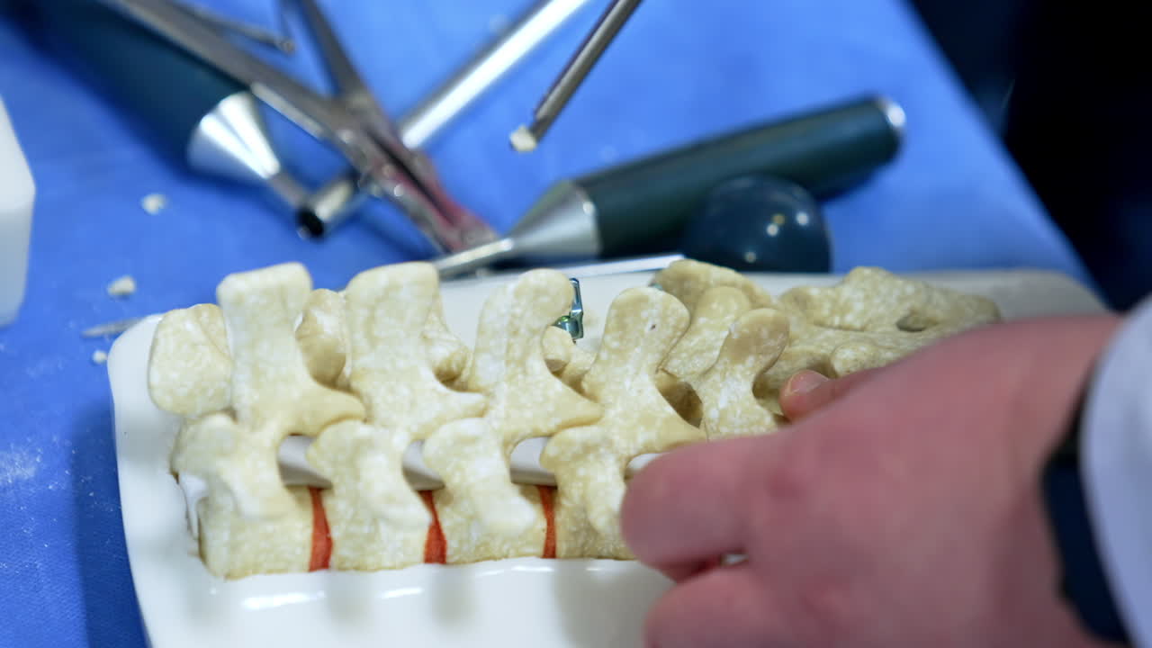 Modern neurosurgical tool in male hands is pinching off little pieces from the spine dummy. Neurosurgery operation demonstration for students. Close up.