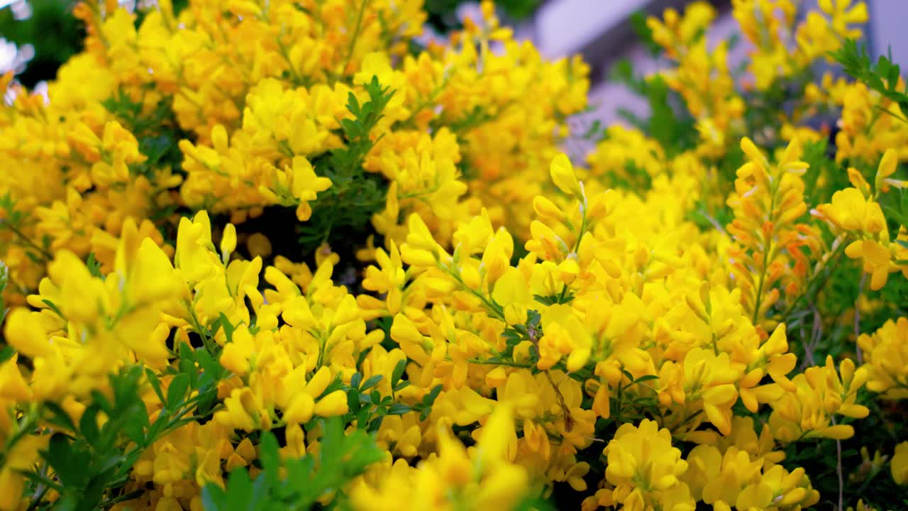 요코하마 최고의 전망