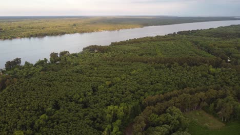 Panoramablick-Und-Überflug-Des-Amazonas-Regenwaldes-Und-Des-Amazonas-Flusses-In-Epischer-Aussicht