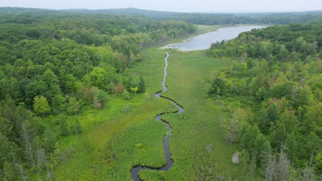 swamp wetland in remote location aerial video ecosystem global warming